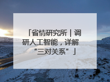 省情研究所｜调研人工智能，详解“三对关系”