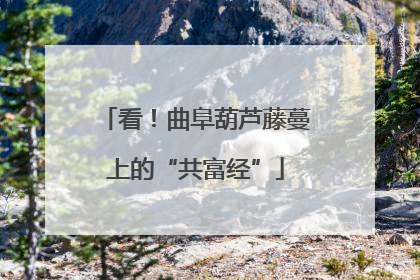 看！曲阜葫芦藤蔓上的“共富经”