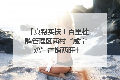 真帮实扶！百里杜鹃管理区两村“威宁鸡”产销两旺
