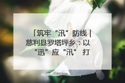 筑牢“汛”防线｜慈利县罗塔坪乡：以“迅”应“汛” 打赢暴雨防御战