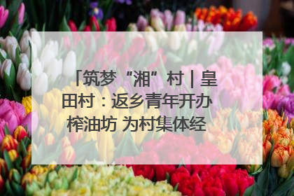 筑梦“湘”村｜皇田村：返乡青年开办榨油坊 为村集体经济“加油”