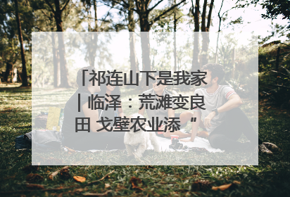 祁连山下是我家｜临泽：荒滩变良田 戈壁农业添“绿”生“金”