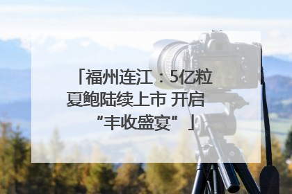 福州连江：5亿粒夏鲍陆续上市 开启“丰收盛宴”