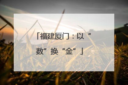 福建厦门：以“数”换“金”