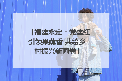 福建永定：党建红引领果蔬香 共绘乡村振兴新画卷