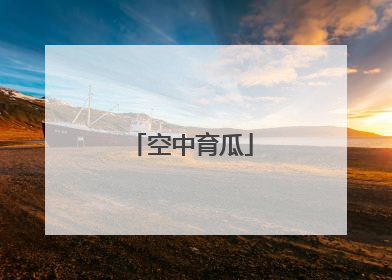 空中育瓜
