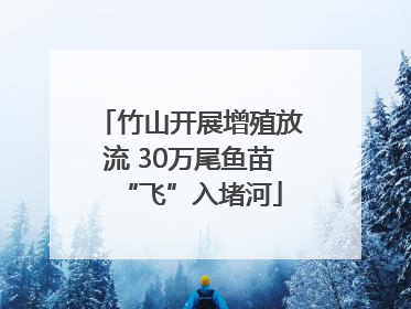 竹山开展增殖放流 30万尾鱼苗“飞”入堵河
