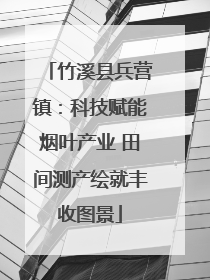 竹溪县兵营镇：科技赋能烟叶产业 田间测产绘就丰收图景