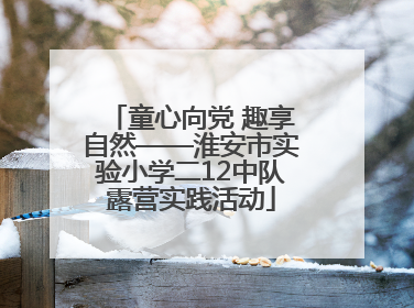 童心向党 趣享自然——淮安市实验小学二12中队露营实践活动