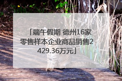 端午假期 德州16家零售样本企业商品销售2429.36万元