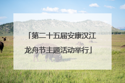 第二十五届安康汉江龙舟节主题活动举行