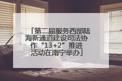 第二届服务西部陆海新通道建设司法协作“13+2”推进活动在南宁举办