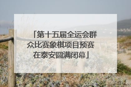 第十五届全运会群众比赛象棋项目预赛在泰安圆满闭幕