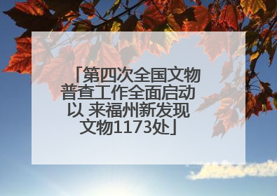 第四次全国文物普查工作全面启动以 来福州新发现文物1173处