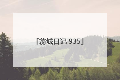 翁城日记 935