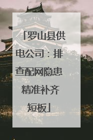 罗山县供电公司：排查配网隐患 精准补齐短板