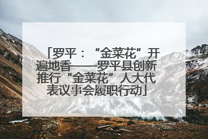 罗平：“金菜花”开遍地香——罗平县创新推行“金菜花”人大代表议事会履职行动