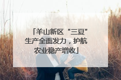 羊山新区“三夏”生产全面发力，护航农业稳产增收