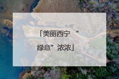 美丽西宁 “绿意”浓浓