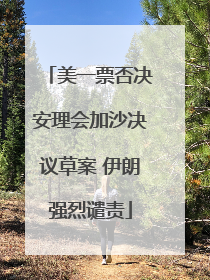 美一票否决安理会加沙决议草案 伊朗强烈谴责
