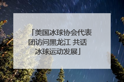 美国冰球协会代表团访问黑龙江 共话冰球运动发展