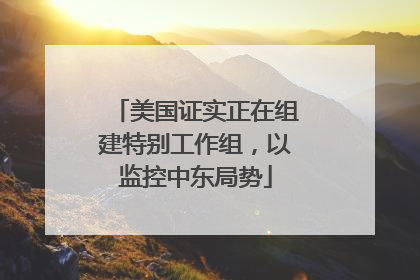 美国证实正在组建特别工作组，以监控中东局势