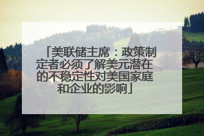 美联储主席：政策制定者必须了解美元潜在的不稳定性对美国家庭和企业的影响