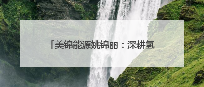 美锦能源姚锦丽：深耕氢能蓝海，领航绿色未来