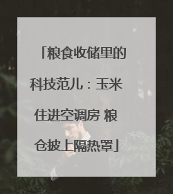 粮食收储里的科技范儿：玉米住进空调房 粮仓披上隔热罩