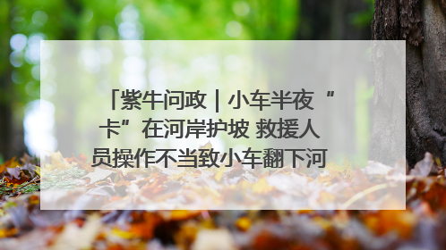 紫牛问政｜小车半夜“卡”在河岸护坡 救援人员操作不当致小车翻下河，然后直接走人了
