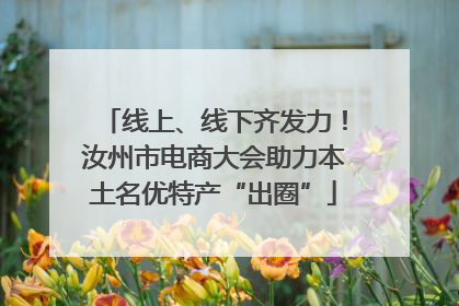 线上、线下齐发力！汝州市电商大会助力本土名优特产“出圈”