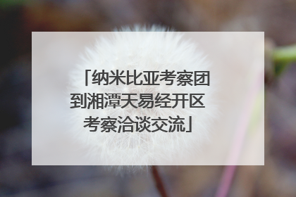 纳米比亚考察团到湘潭天易经开区考察洽谈交流