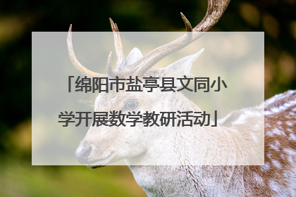 绵阳市盐亭县文同小学开展数学教研活动