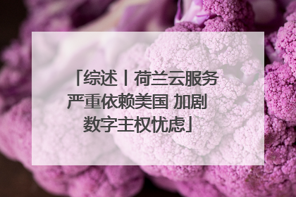 综述丨荷兰云服务严重依赖美国 加剧数字主权忧虑
