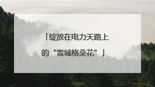 绽放在电力天路上的“雪域格桑花”