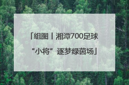 组图丨湘潭700足球“小将”逐梦绿茵场