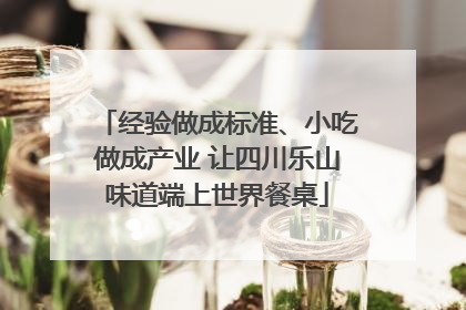 经验做成标准、小吃做成产业 让四川乐山味道端上世界餐桌