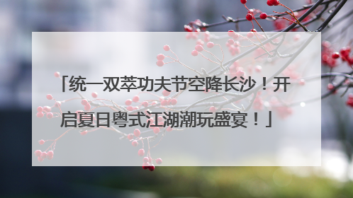 统一双萃功夫节空降长沙！开启夏日粤式江湖潮玩盛宴！
