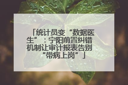 统计员变“数据医生”：宁阳前置纠错机制让审计报表告别“带病上岗”