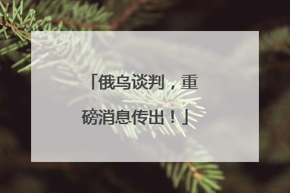 俄乌谈判，重磅消息传出！