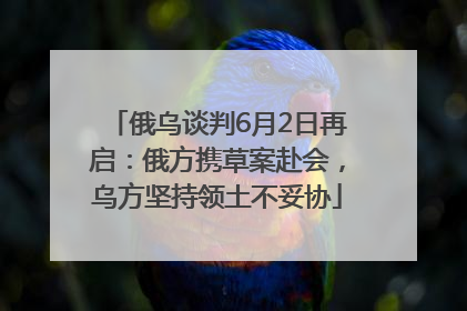 俄乌谈判6月2日再启：俄方携草案赴会，乌方坚持领土不妥协