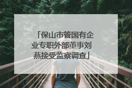 保山市管国有企业专职外部董事刘燕接受监察调查