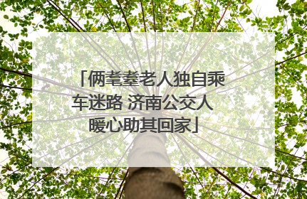 俩耄耋老人独自乘车迷路 济南公交人暖心助其回家