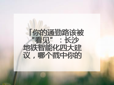 你的通勤路该被 “看见”：长沙地铁智能化四大建议，哪个戳中你的出行痛点？