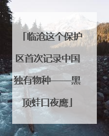 临沧这个保护区首次记录中国独有物种——黑顶蛙口夜鹰