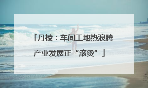 丹棱：车间工地热浪腾产业发展正“滚烫”