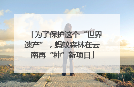 为了保护这个“世界遗产”，蚂蚁森林在云南再“种”新项目