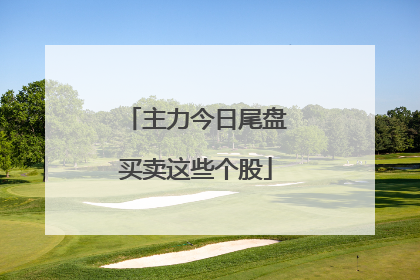 主力今日尾盘买卖这些个股