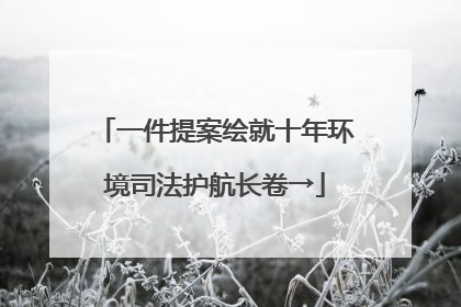 一件提案绘就十年环境司法护航长卷→