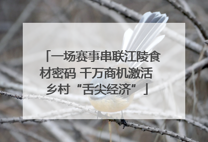 一场赛事串联江陵食材密码 千万商机激活乡村“舌尖经济”